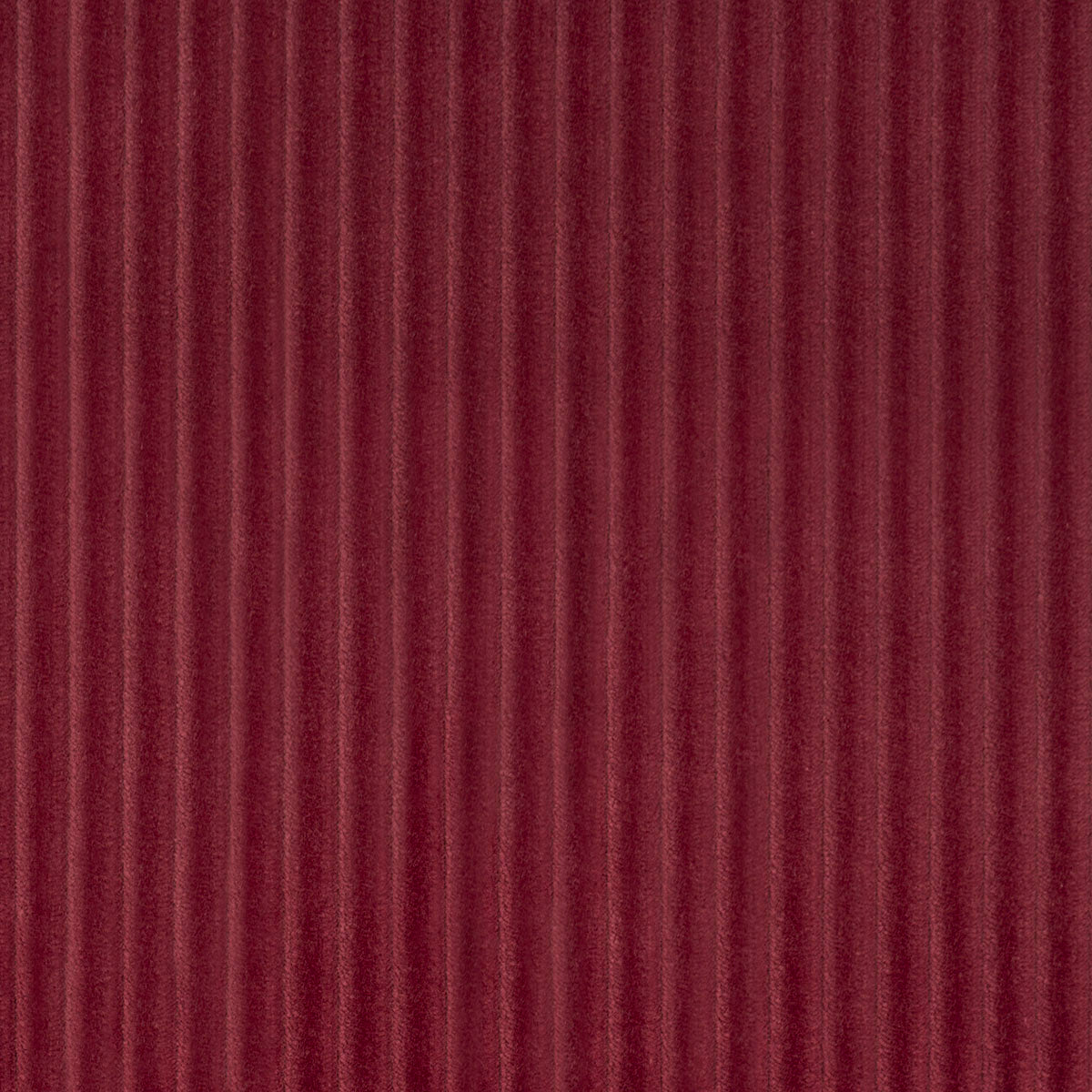 SCHUMACHER  ATELIER PARIS WYATT CORDUROY   Merlot   - 80457