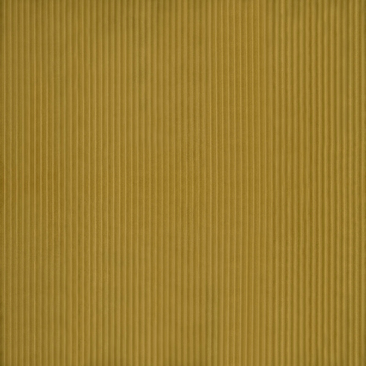 SCHUMACHER  ATELIER PARIS WYATT CORDUROY   Chartreuse   - 80458