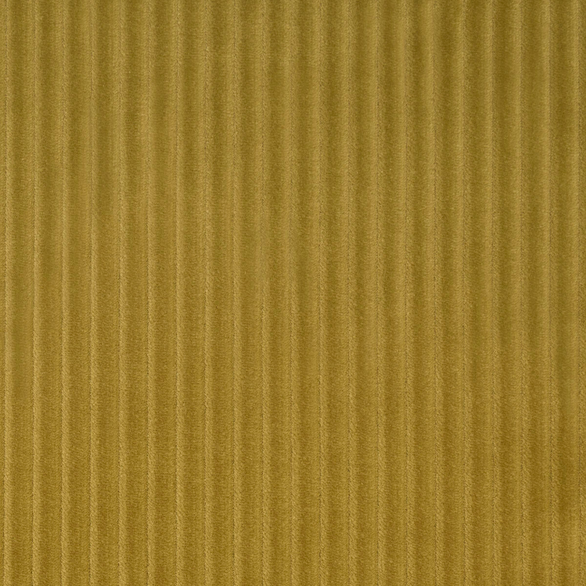SCHUMACHER  ATELIER PARIS WYATT CORDUROY   Chartreuse   - 80458