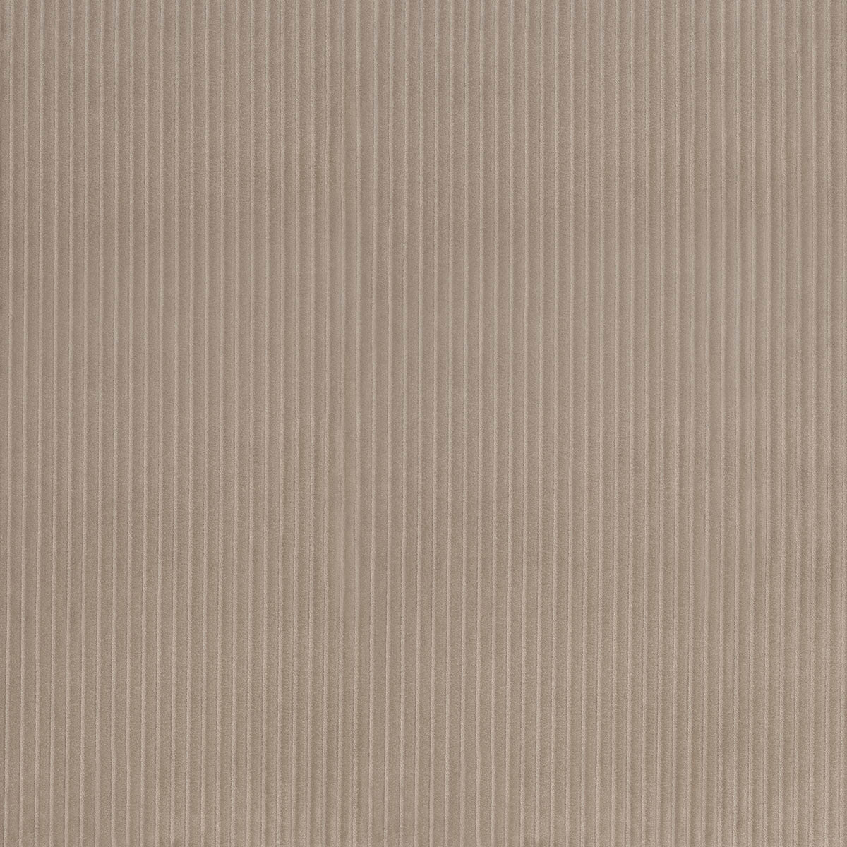 SCHUMACHER  ATELIER PARIS WYATT CORDUROY   Sandstone   - 80459