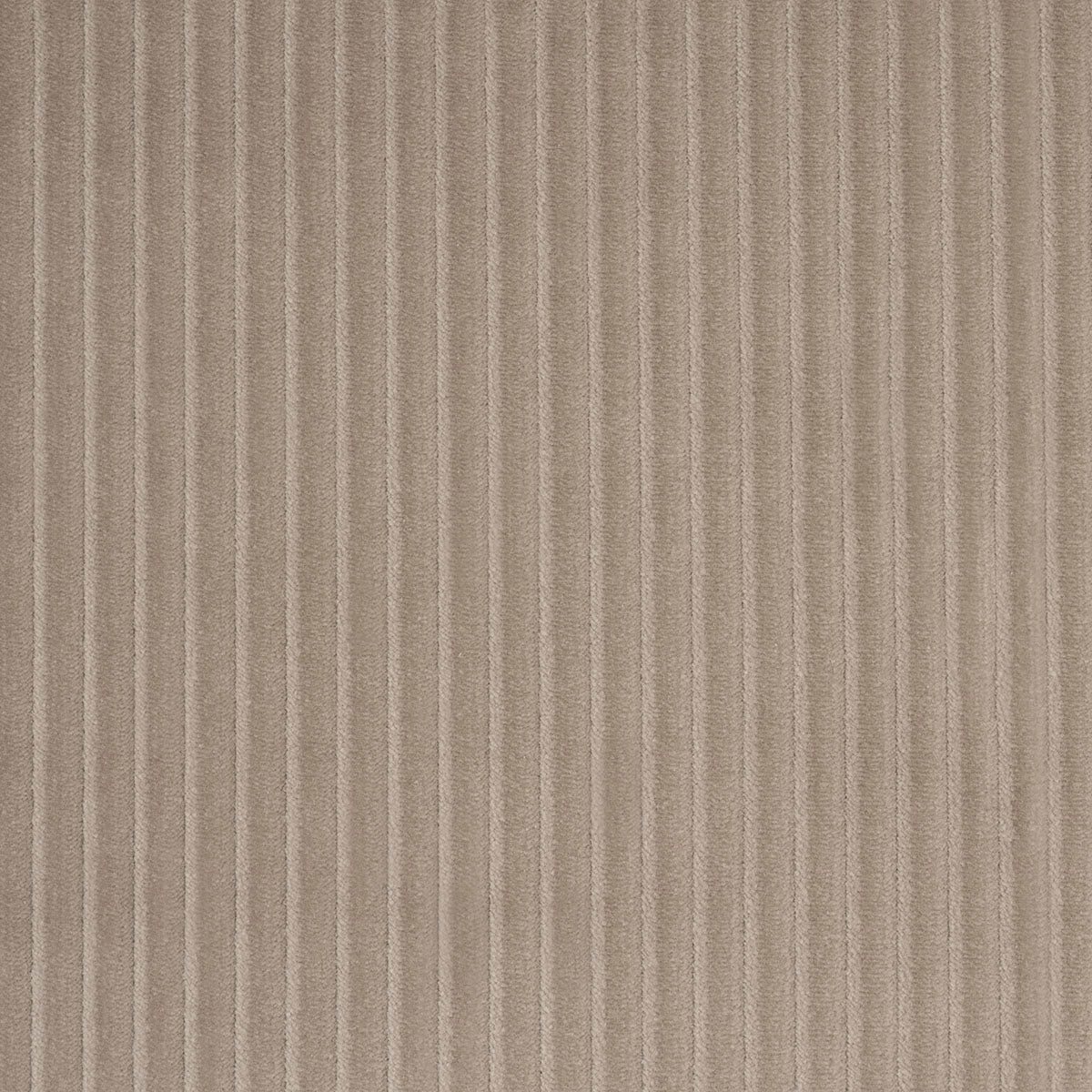 SCHUMACHER  ATELIER PARIS WYATT CORDUROY   Sandstone   - 80459