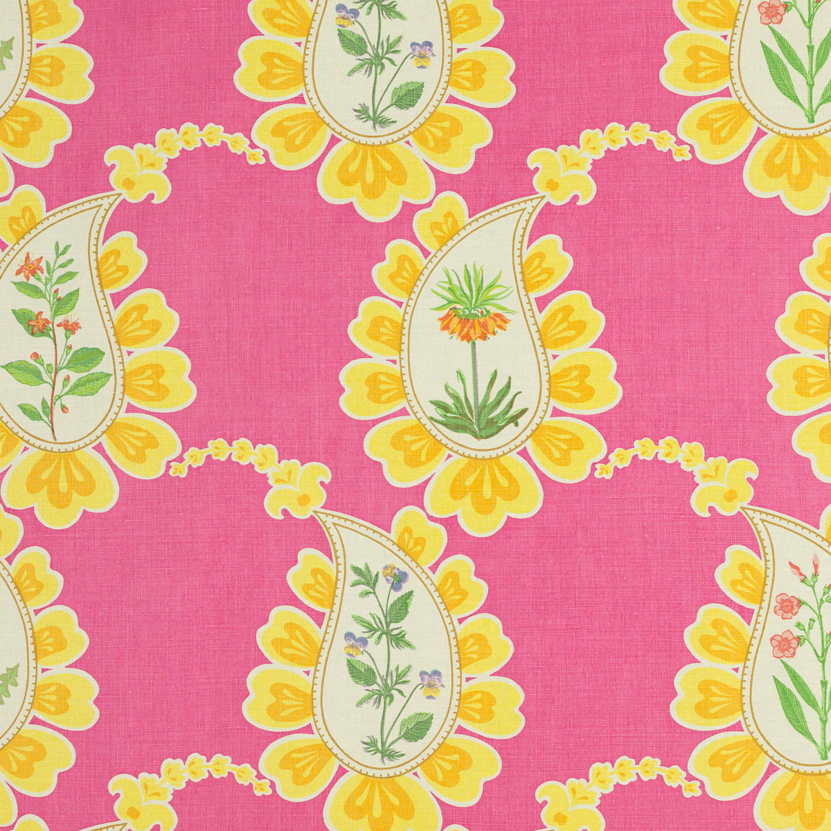 SCHUMACHER  RAOUL TEXTILES BOMBAY BY RAOUL PRINTS PRINTS FUCHSIA   - 804N83