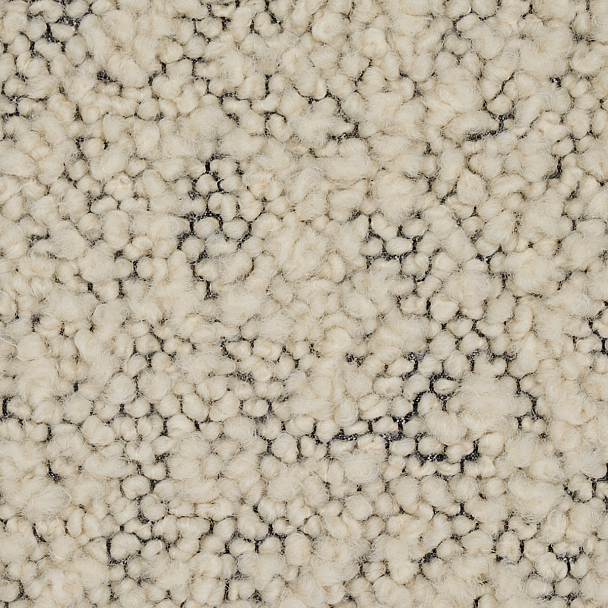 SCHUMACHER  PATTERSON FLYNN MARGARETE BOUCL?? TEXTURES TEXTURES IVORY ON CHARCOAL   - 80530