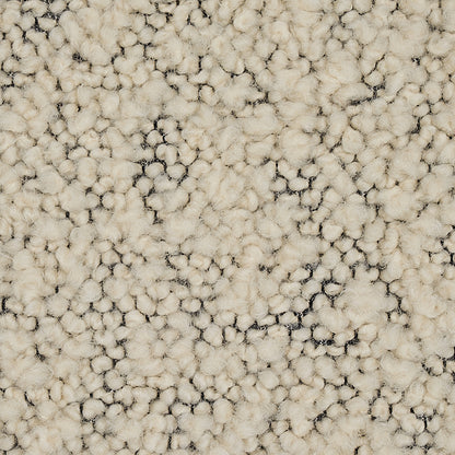 SCHUMACHER  PATTERSON FLYNN MARGARETE BOUCL?? TEXTURES TEXTURES IVORY ON CHARCOAL   - 80530