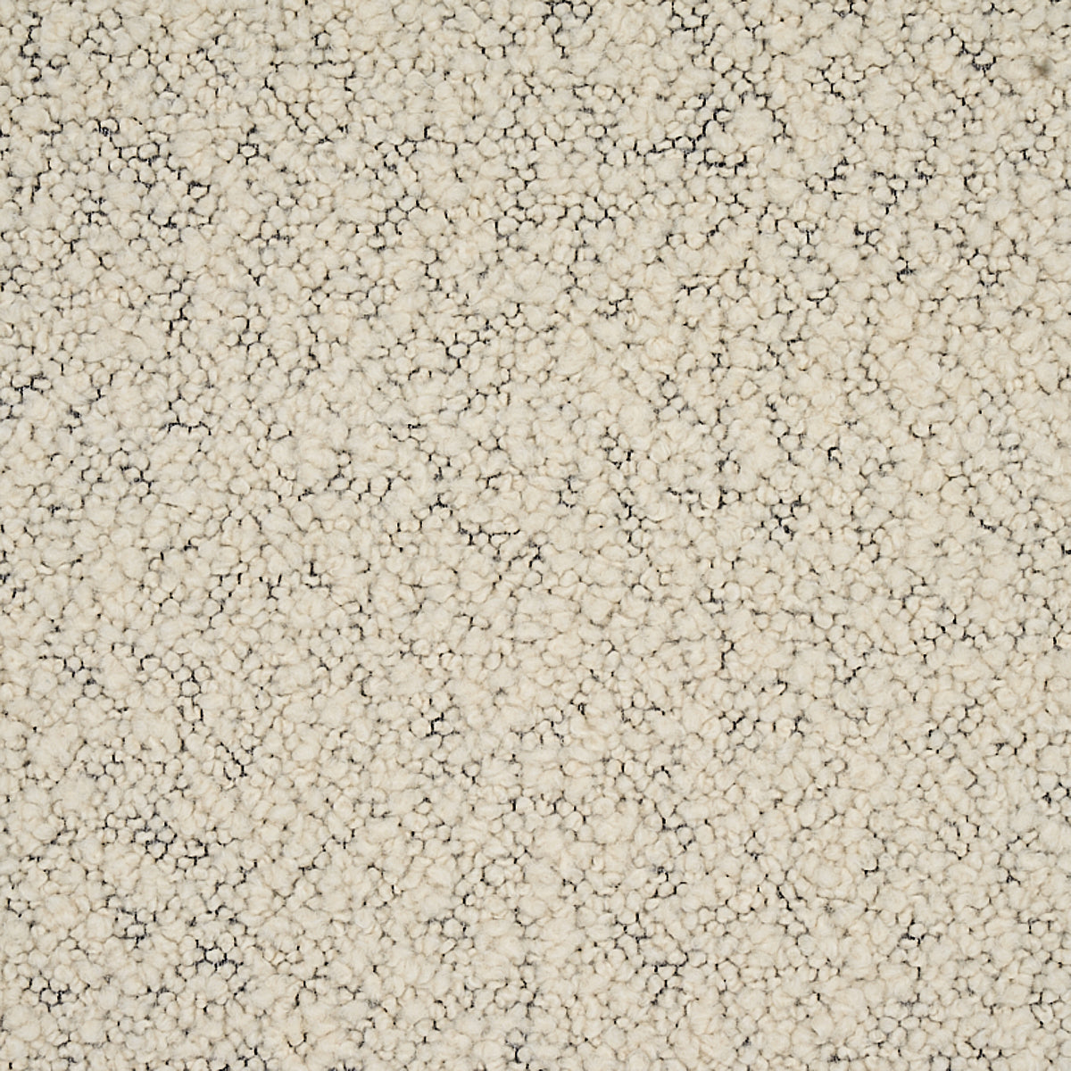 SCHUMACHER  PATTERSON FLYNN MARGARETE BOUCL?? TEXTURES TEXTURES IVORY ON CHARCOAL   - 80530