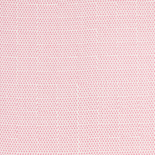 SCHUMACHER  RAOUL TEXTILES CEYLON PRINTS PRINTS BORSCHT   - 805B65