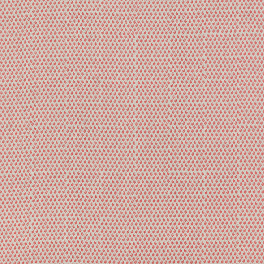 SCHUMACHER  RAOUL TEXTILES CEYLON PRINTS PRINTS GRAPEFRUIT   - 805N43