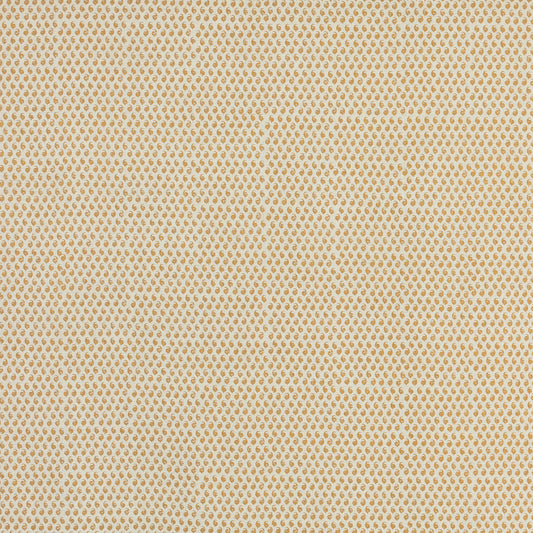 SCHUMACHER  RAOUL TEXTILES CEYLON PRINTS PRINTS ANTIGUA   - 805N66