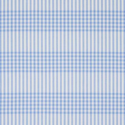 Blue and white gingham fabric with classic check pattern, woven cotton look.