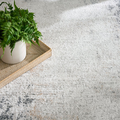 Green fern in white pot on a woven rattan tray atop a light gray textured rug.