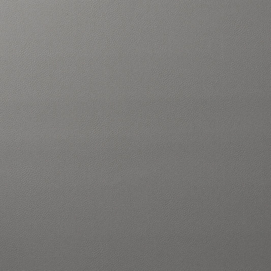 SCHUMACHER  PERFECT BASICS: VEGAN LEATHER & SUEDE VEGAN LEATHER INDOOR/OUTDOOR LEATHERS & FAUX LEATHER LEATHERS & FAUX LEATHER PLATINUM   - 80903