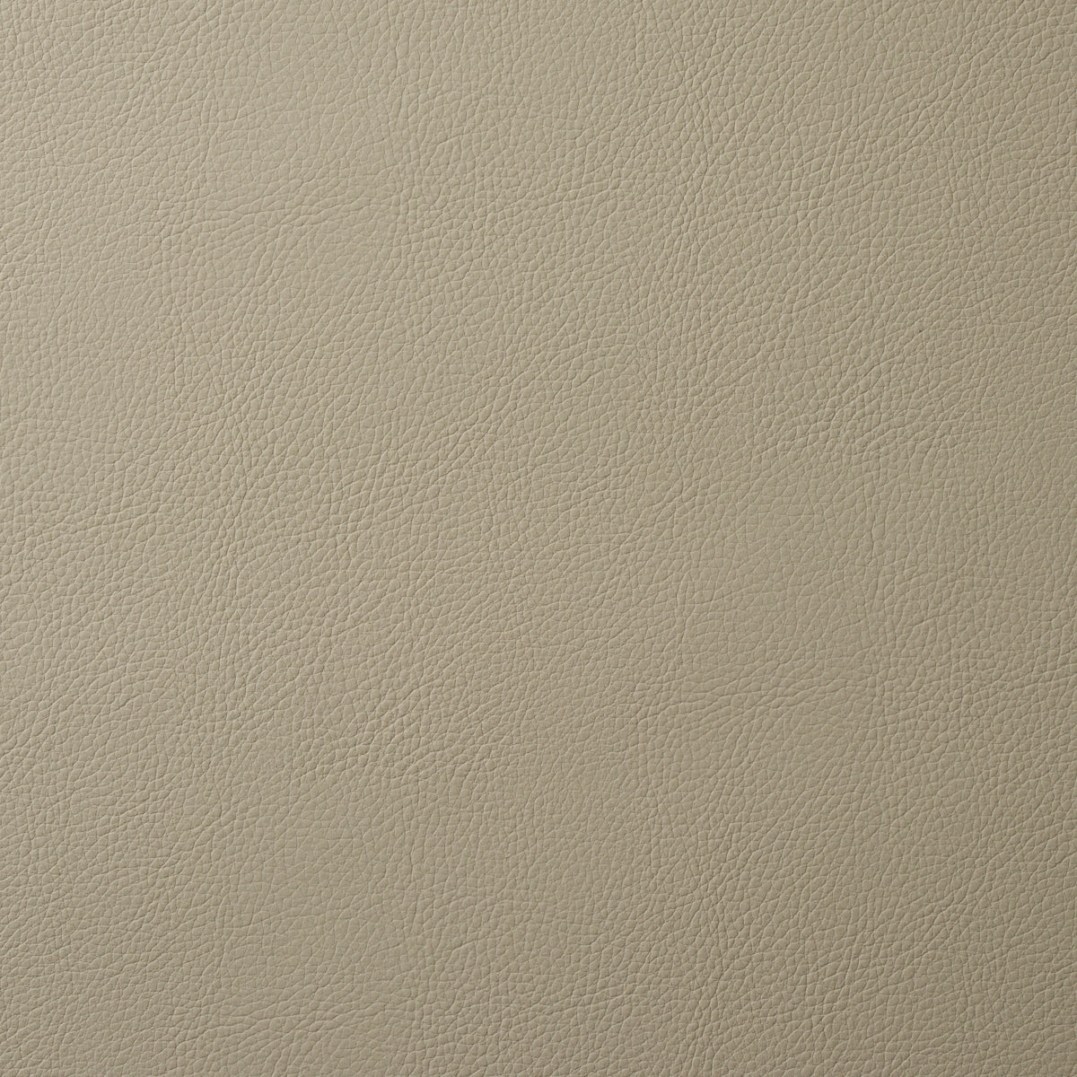Beige leather-textured surface with fine pebble grain pattern.