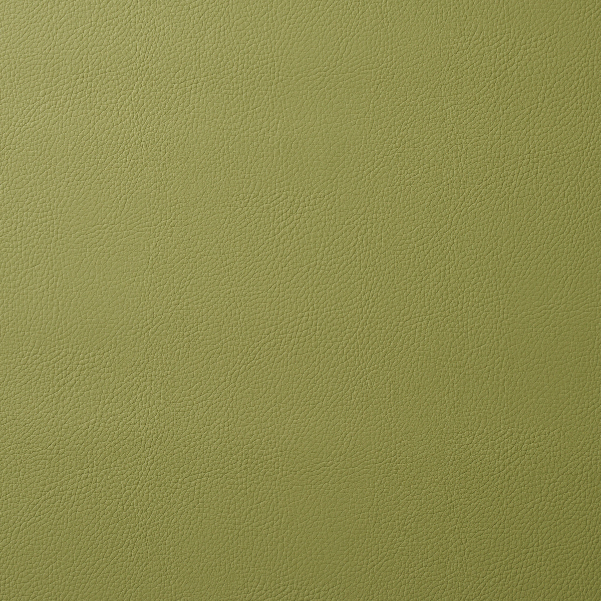 SCHUMACHER  PERFECT BASICS: VEGAN LEATHER & SUEDE VEGAN LEATHER INDOOR/OUTDOOR LEATHERS & FAUX LEATHER LEATHERS & FAUX LEATHER MOSS   - 80907