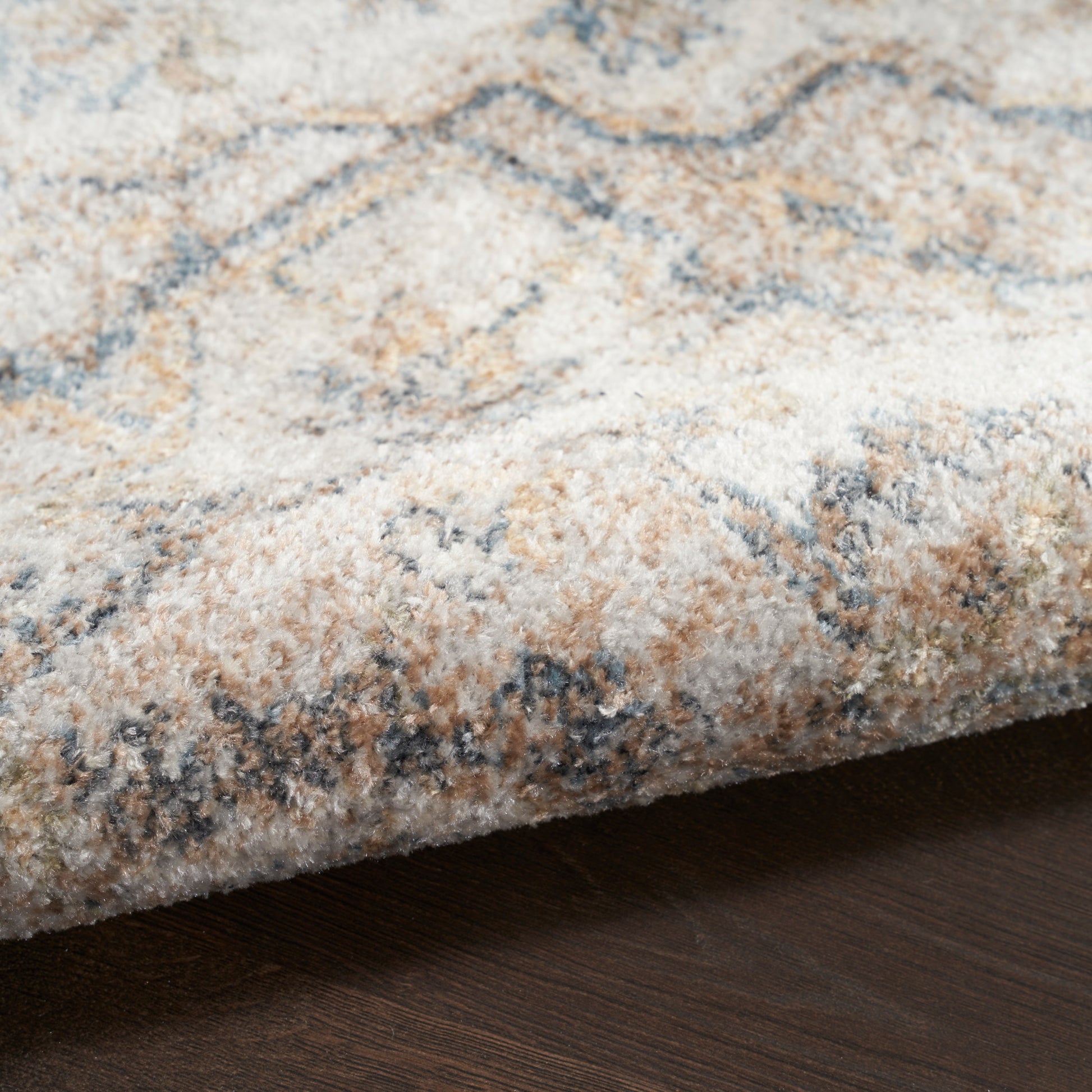 Close-up of a plush, multicolor oriental-style rug with cream, tan and blue accents on dark wood floor.