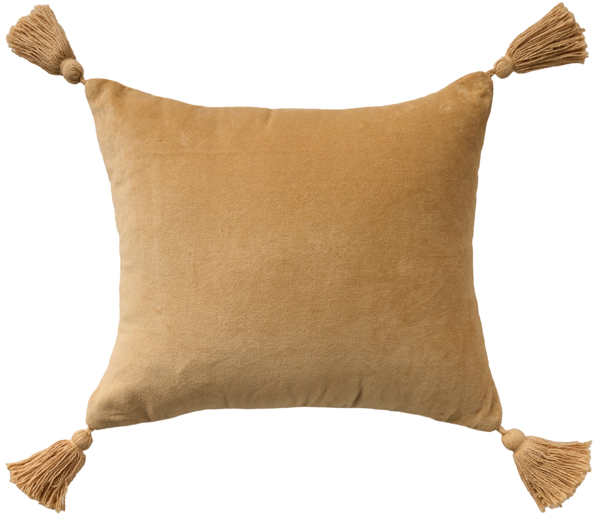 Velvet vintage sage 13" x 15" rectangular throw pillow with tassels at all four corners.