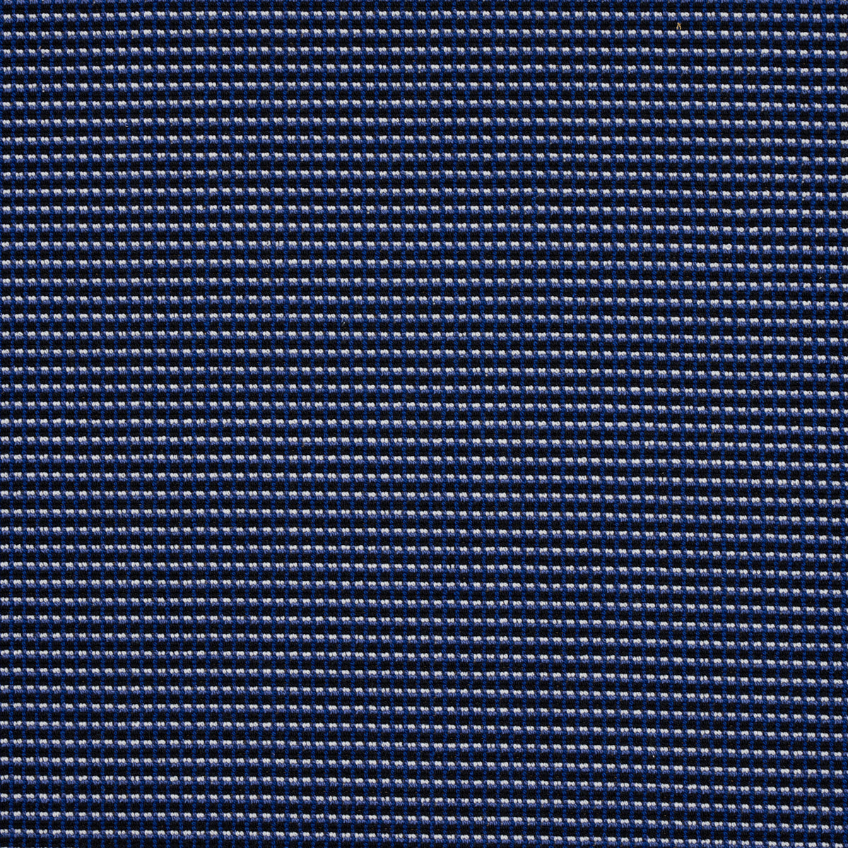 SCHUMACHER  STEPHANIE SEAL BROWN GRUNDA �PINGL�   Cobalt   - 81001