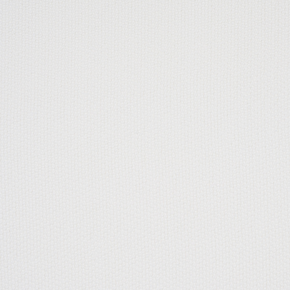 SCHUMACHER  INDOOR/OUTDOOR SCOTTIE INDOOR/OUTDOOR TEXTURES,HIGH PERFORMANCE,INDOOR/OUTDOOR TEXTURES,HIGH PERFORMANCE,INDOOR/OUTDOOR WHITE   - 81061