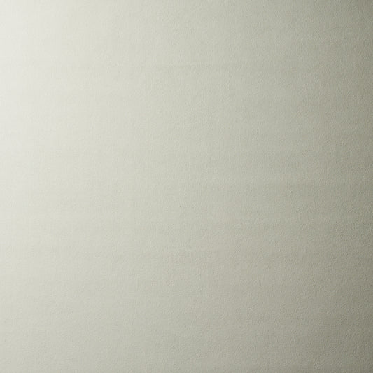 SCHUMACHER  PERFECT BASICS: VEGAN LEATHER & SUEDE VEGAN SUEDE LEATHERS & FAUX LEATHER LEATHERS & FAUX LEATHER OYSTER   - 81135