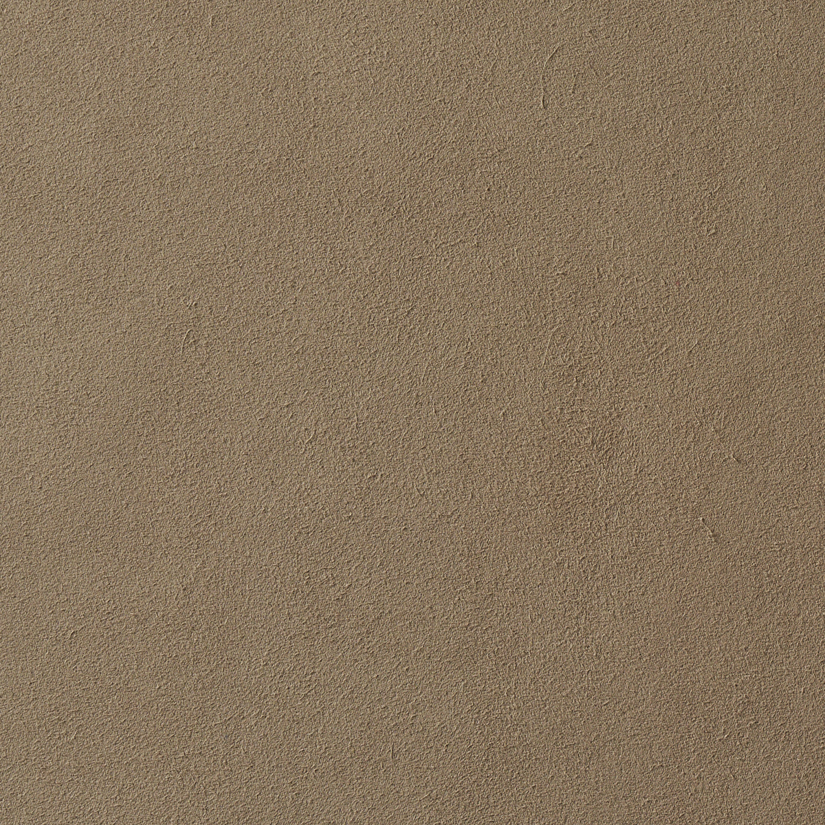 Beige textured surface with fine grain pattern, matte suede-like finish.