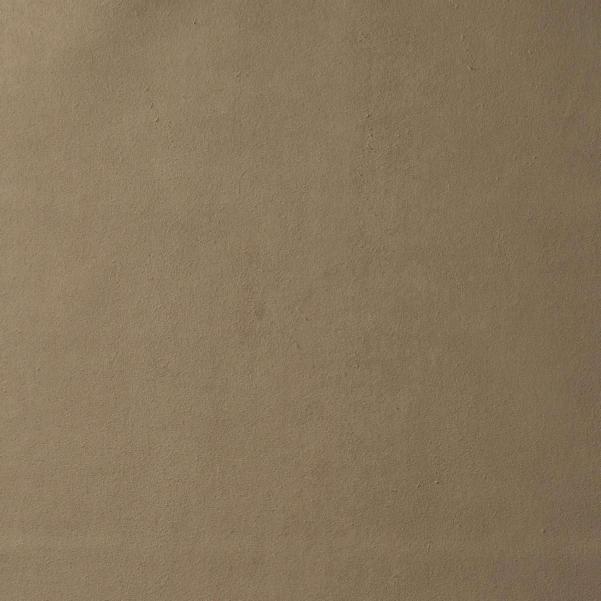 Tan suede-textured leather surface, flat rectangular swatch.
