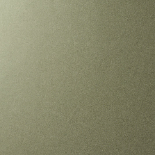 SCHUMACHER  PERFECT BASICS: VEGAN LEATHER & SUEDE VEGAN SUEDE LEATHERS & FAUX LEATHER LEATHERS & FAUX LEATHER SAGE   - 81138