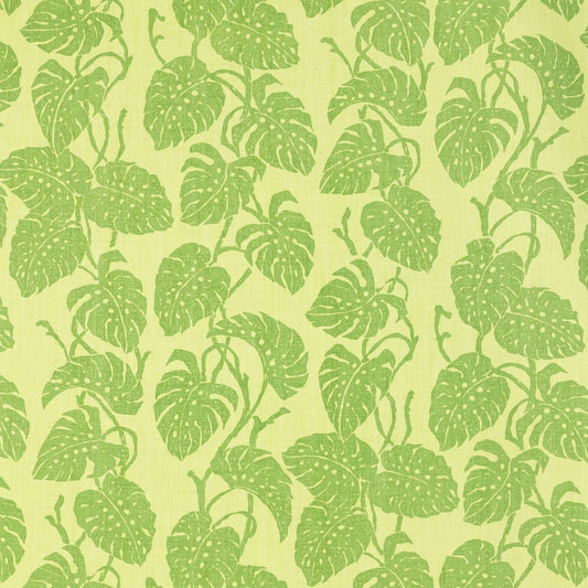 SCHUMACHER  RAOUL TEXTILES EDEN PRINTS PRINTS SAPOTE   - 812B52