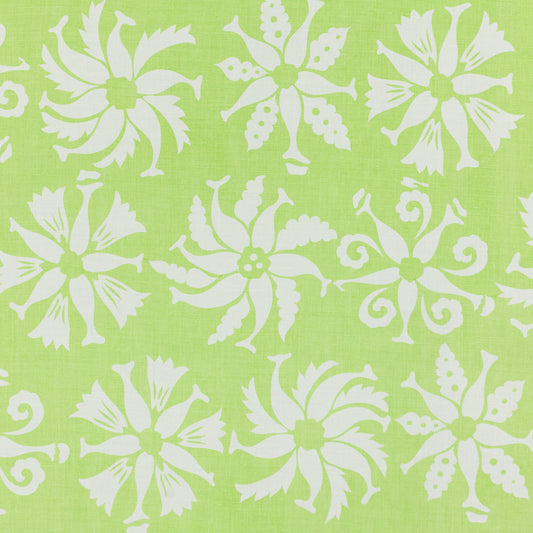 SCHUMACHER  RAOUL TEXTILES OMOO PRINTS PRINTS SAPOTE   - 813B52