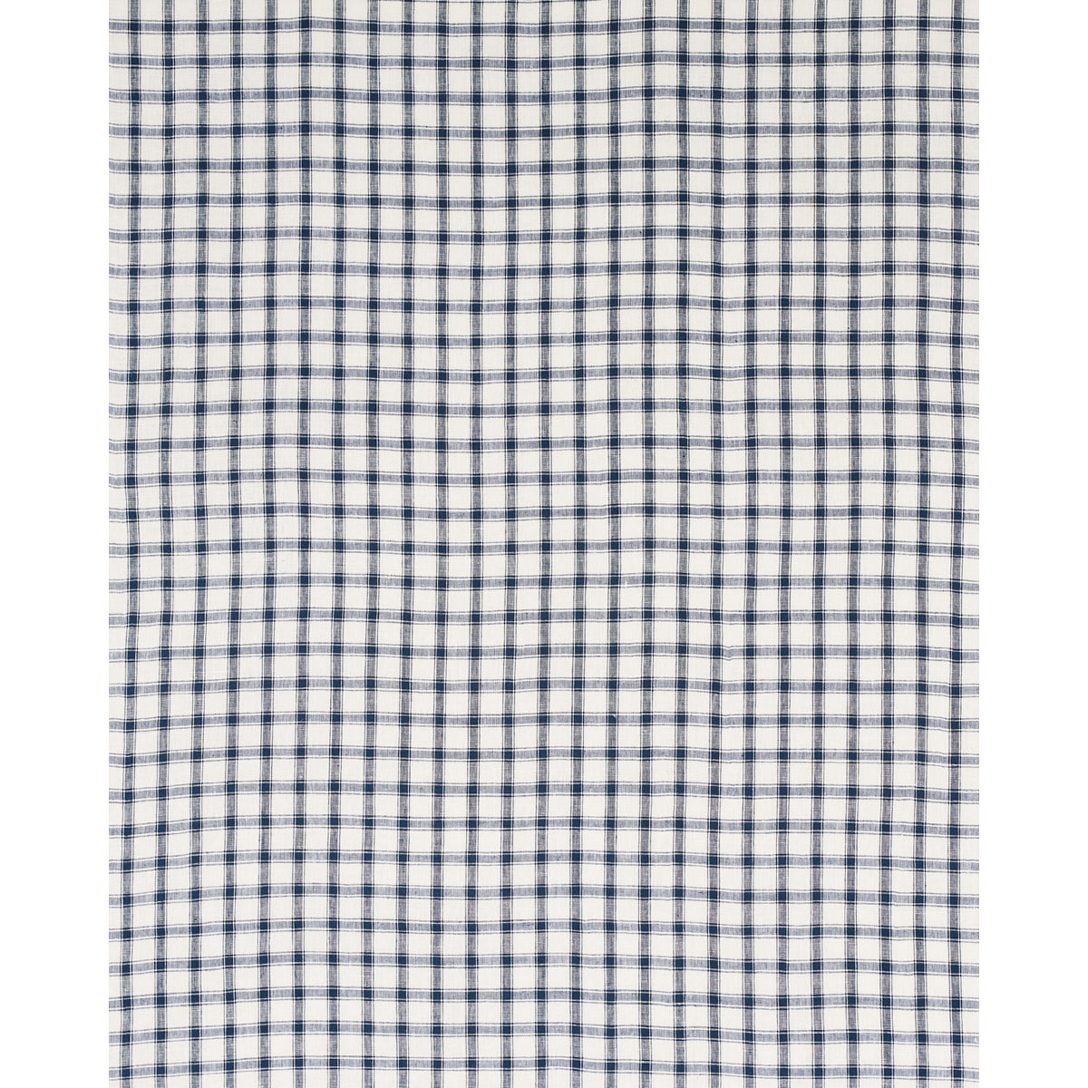 Blue and white gingham check fabric swatch with small squares, woven textile for shirts or home linens.