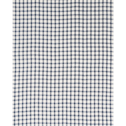 Blue and white gingham check fabric swatch with small squares, woven textile for shirts or home linens.