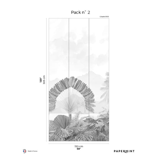 Veer Decor Amazonia Pack 2 in Gray Wall Mural Tropical Mural Gray  Mural - 8184-AC3-B
