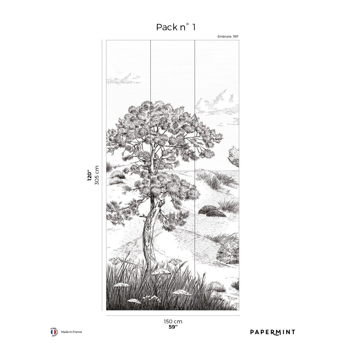 Veer Decor Wild Coast Pack 1 in Gray Wall Mural Landscape Mural Gray  Mural - 8184-AR1-A