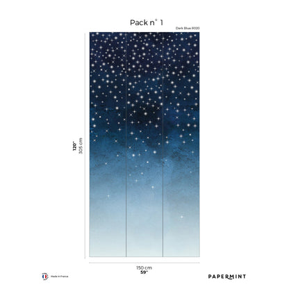 Veer Decor Starlights Pack 1 in Navy Wall Mural Nature Mural Navy  Mural - 8184-AZ1-B