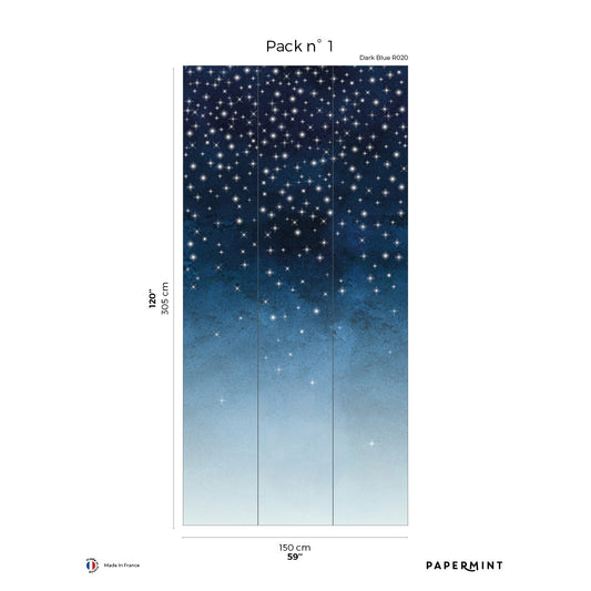 Veer Decor Starlights Pack 1 in Navy Wall Mural Nature Mural Navy  Mural - 8184-AZ1-B