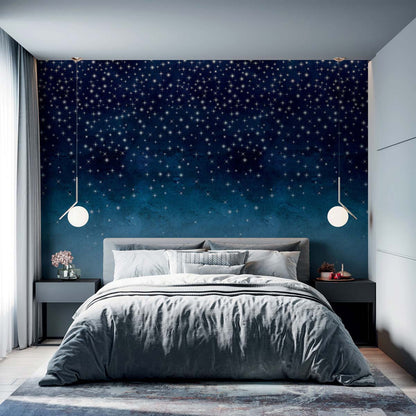 Veer Decor Starlights Pack 1 in Navy Wall Mural Nature Mural Navy  Mural - 8184-AZ1-B