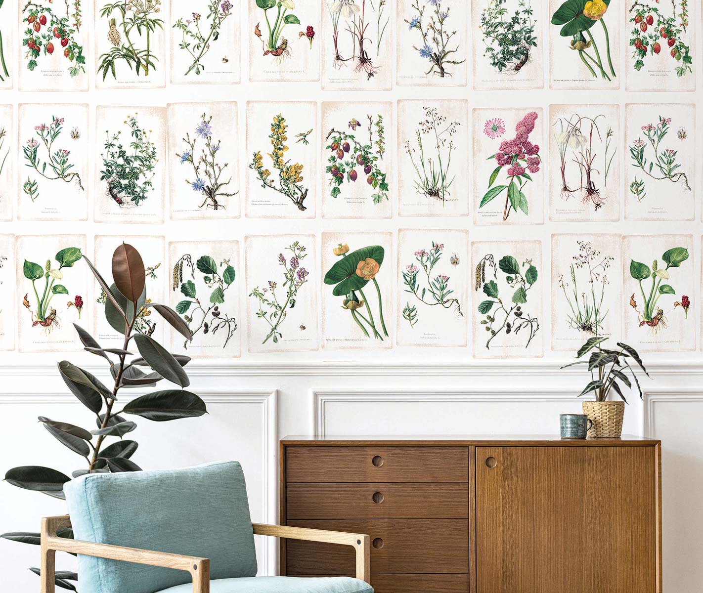 Veer Decor Wild Flowers Pack 1 & 2 in Multi Wall Mural Botanical & Floral Mural Multi  Mural - 8184-BDL-BB