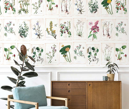 Veer Decor Wild Flowers Pack 1 & 2 in Multi Wall Mural Botanical & Floral Mural Multi  Mural - 8184-BDL-BB