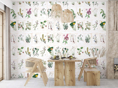 Veer Decor Wild Flowers Pack 1 & 2 in Multi Wall Mural Botanical & Floral Mural Multi  Mural - 8184-BDL-BB