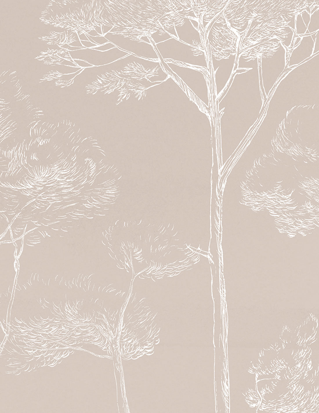 Veer Decor Under the Pines Pack 1 & 2 in Beige Wall Mural Nature Mural Beige  Mural - 8184-BDL-CY2