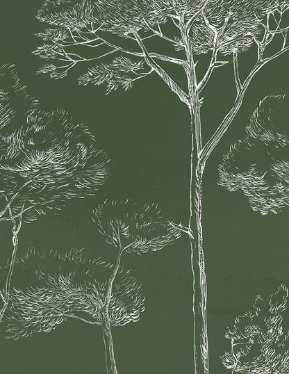 Veer Decor Under the Pines Pack 1 & 2 in Green Wall Mural Nature Mural Green  Mural - 8184-BDL-CY3
