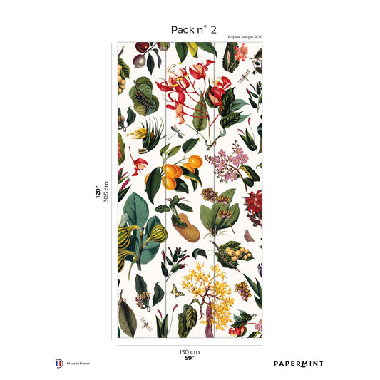 Veer Decor Yesteryear Garden Pack 2 in Multi Wall Mural Botanical & Floral Mural Multi  Mural - 8184-BL1-B