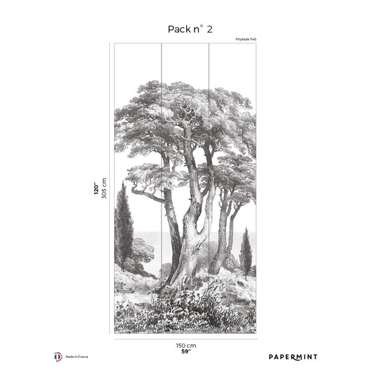 Veer Decor Porquerolles Pack 2 in Gray Wall Mural Nature Mural Gray  Mural - 8184-CP1-B