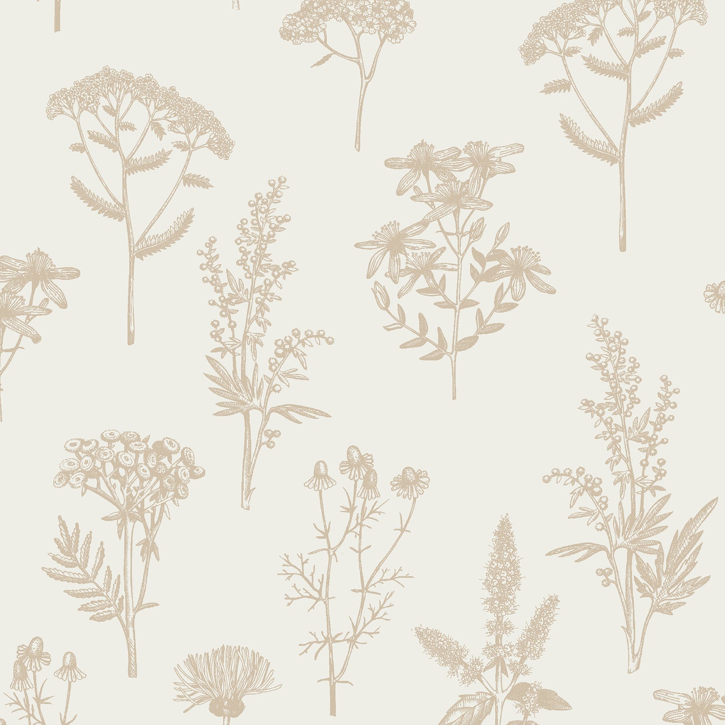 Veer Decor Luminous Botanical Sketch Gold Metallic Wallpaper Nature Transitional Gold  Wallpaper - 8195-AB1