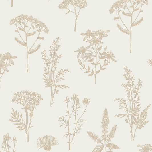 Veer Decor Luminous Botanical Sketch Gold Metallic Wallpaper Nature Transitional Gold  Wallpaper - 8195-AB1