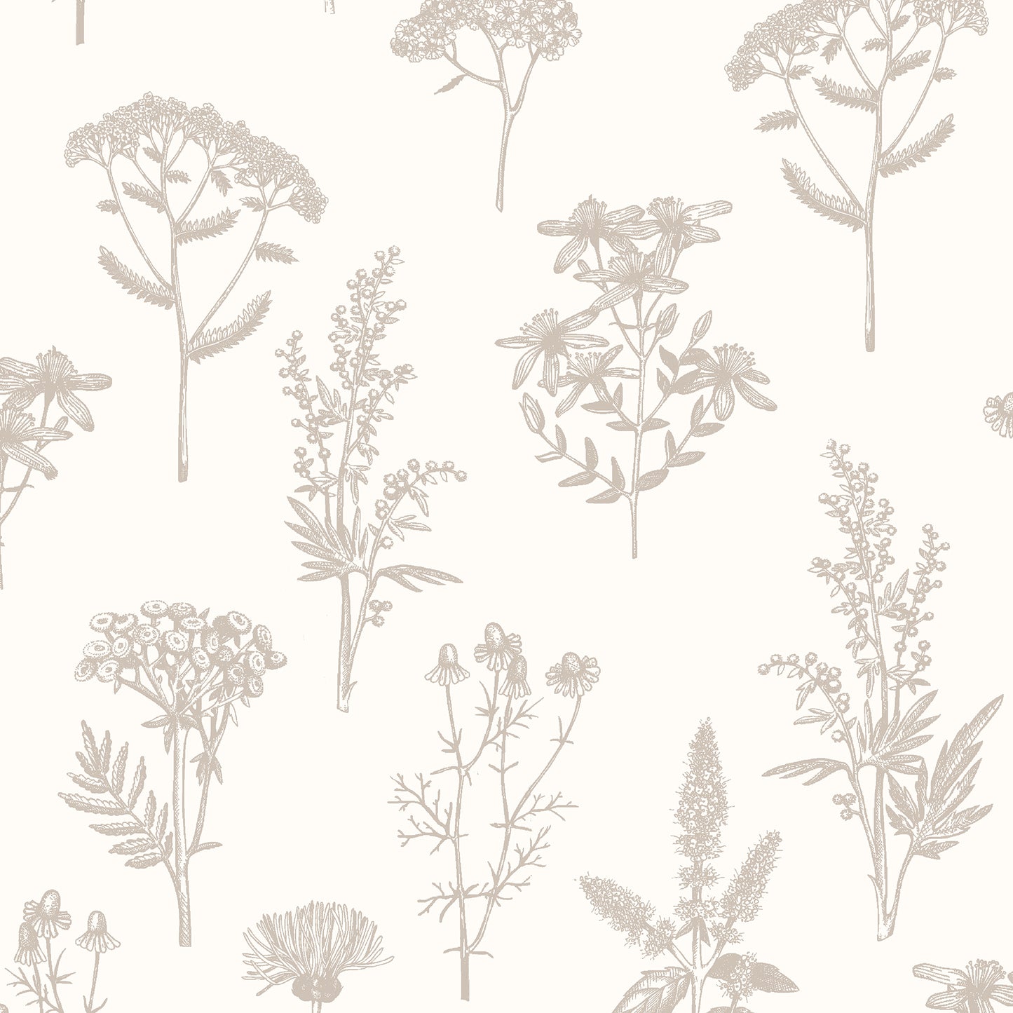 Veer Decor Luminous Botanical Sketch Silver Metallic Wallpaper Nature Transitional Silver  Wallpaper - 8195-AB2