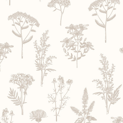 Veer Decor Luminous Botanical Sketch Silver Metallic Wallpaper Nature Transitional Silver  Wallpaper - 8195-AB2