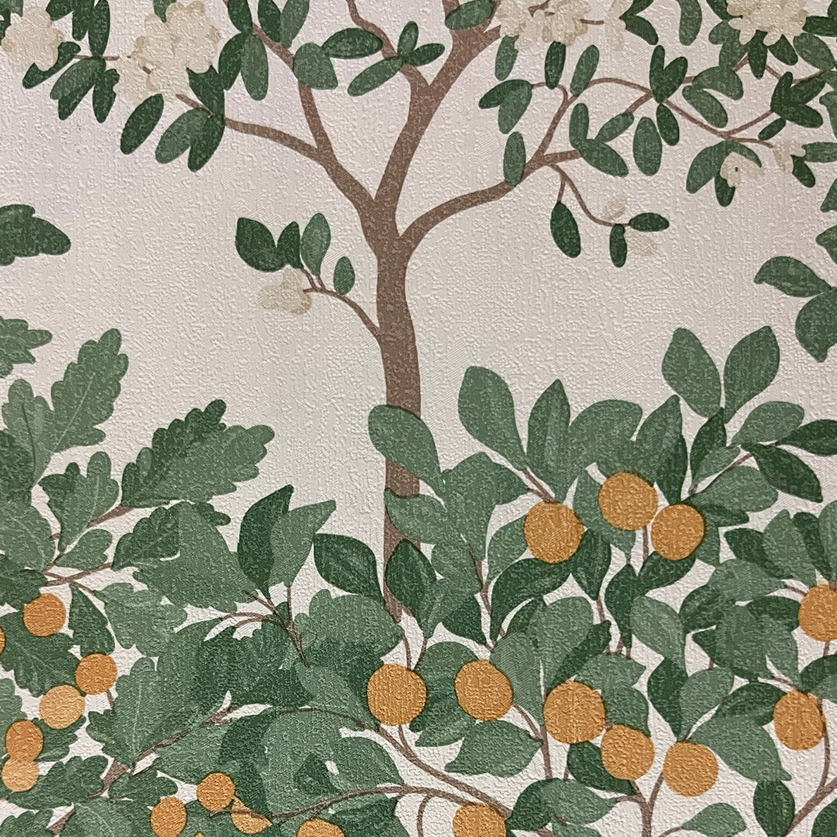 Veer Decor Arbor Serenade Cream Ground Wallpaper Nature Traditional, Transitional Cream  Wallpaper - 8195-AF4