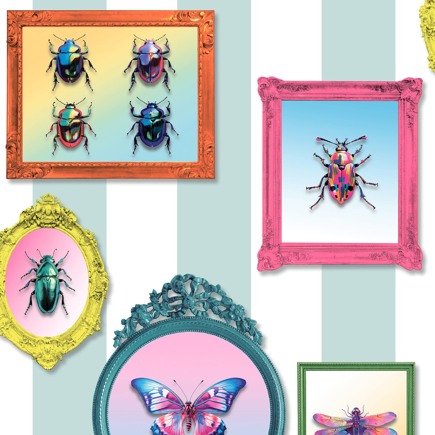 Veer Decor Entomology Gallery Blue Wallpaper Novelty Novelty Blue  Wallpaper - 8196-AJ1