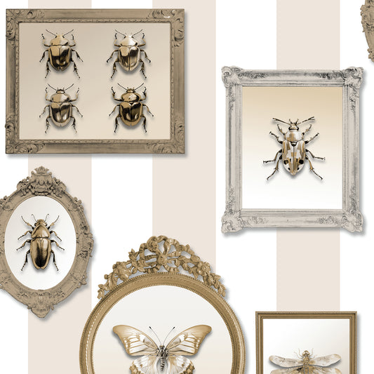 Veer Decor Entomology Gallery Beige Wallpaper Novelty Novelty Beige  Wallpaper - 8196-AJ3
