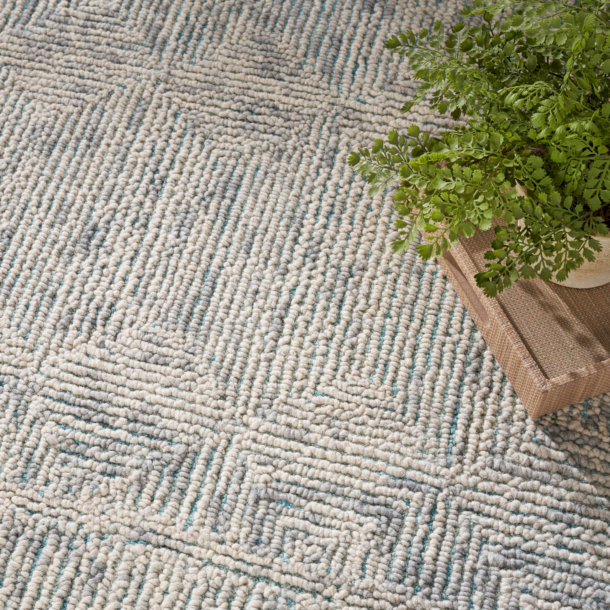 Beige textured loop rug with subtle blue geometric lines; a potted fern sits on a wooden tray beside it.
