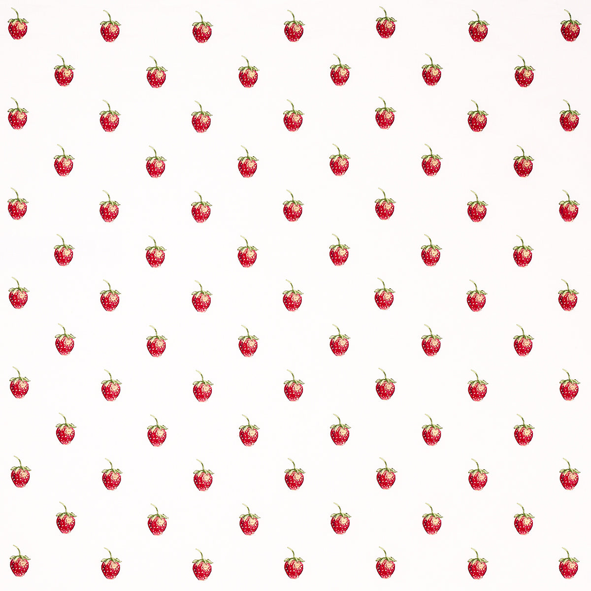 SCHUMACHER  JOHNSON HARTIG FRESHIE FRESH PATTERN WOVENS PATTERN WOVENS IVORY   - 82280